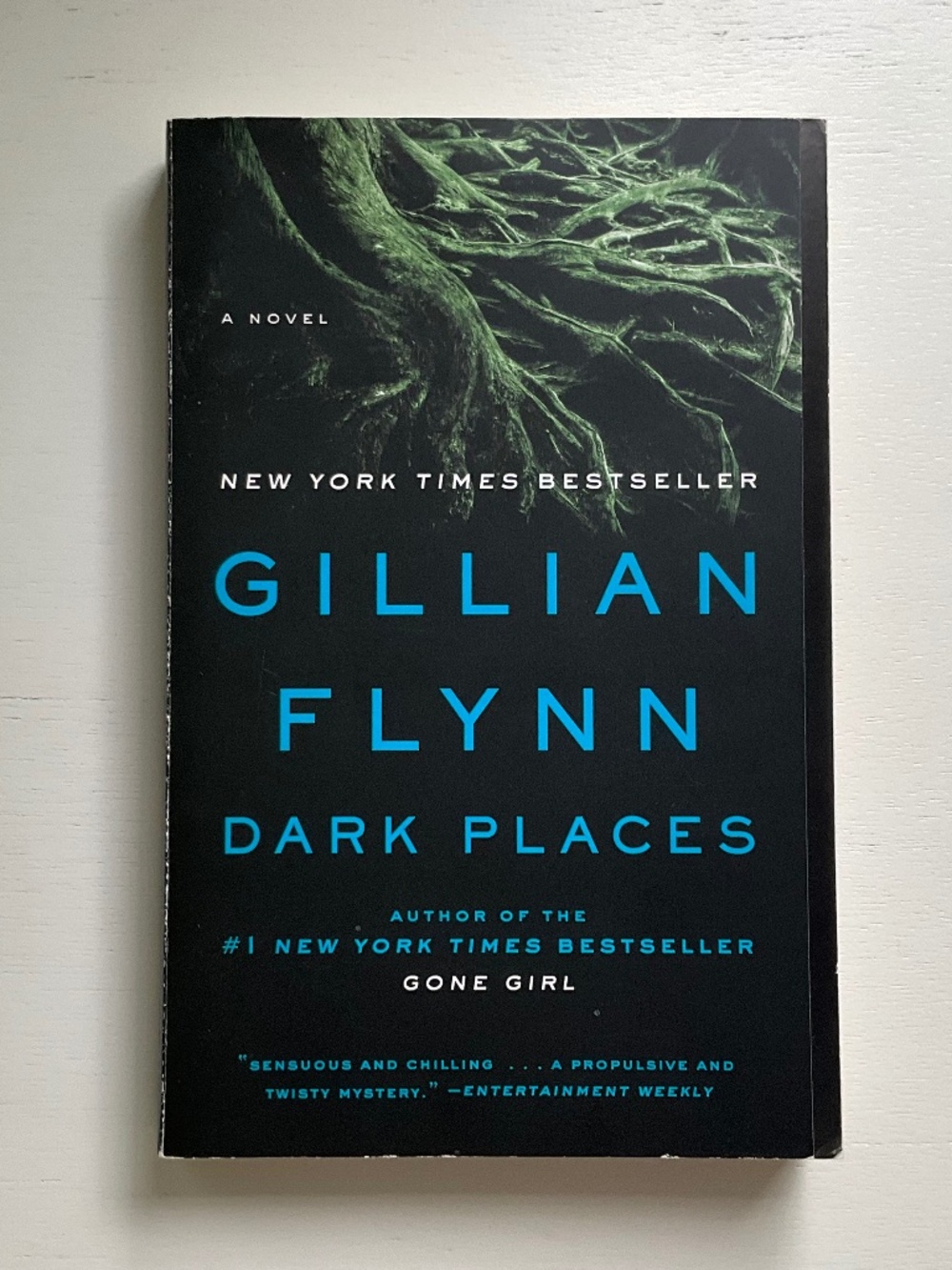 Dark Places by Gillian Flynn
